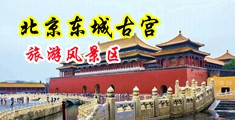 插入小穴视频。中国北京-东城古宫旅游风景区